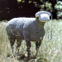 "Telephone Sheep", Jean-Luc Cornec